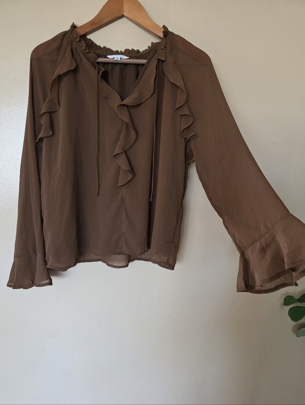 Time & True Chocolate Brown Sheer Ruffle Top M Feminine Romantic Dark Academia
